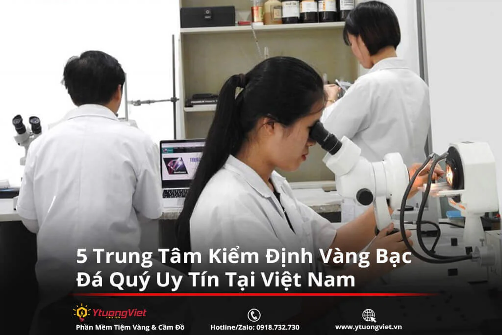trung kiem dinh da quy PNJ