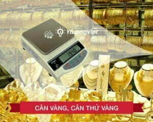huong dan can vang bang can tieu ly